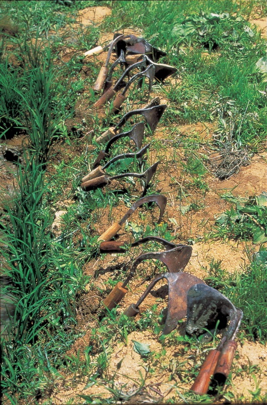 “洗锄宴, 洗锄会”的意思是夏天农事结束，清洗用完的锄头，将其收起。